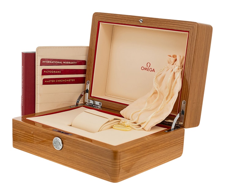 Omega Aqua Terra 150m Gents 220.20.38.20.02.001 Image 5